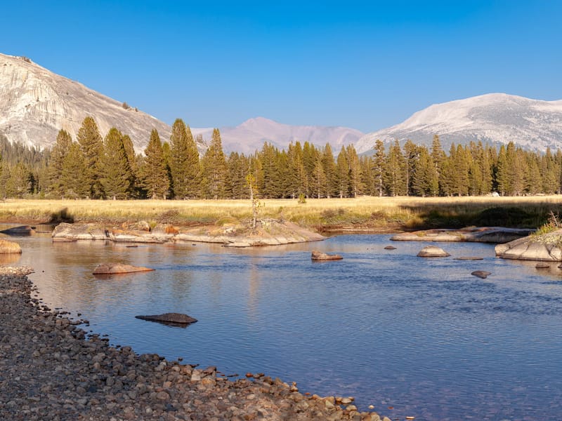 View of Lembert Dome from Tuolumne Meadows