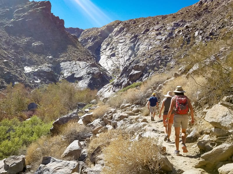 Hike to Tahquitz Canyon