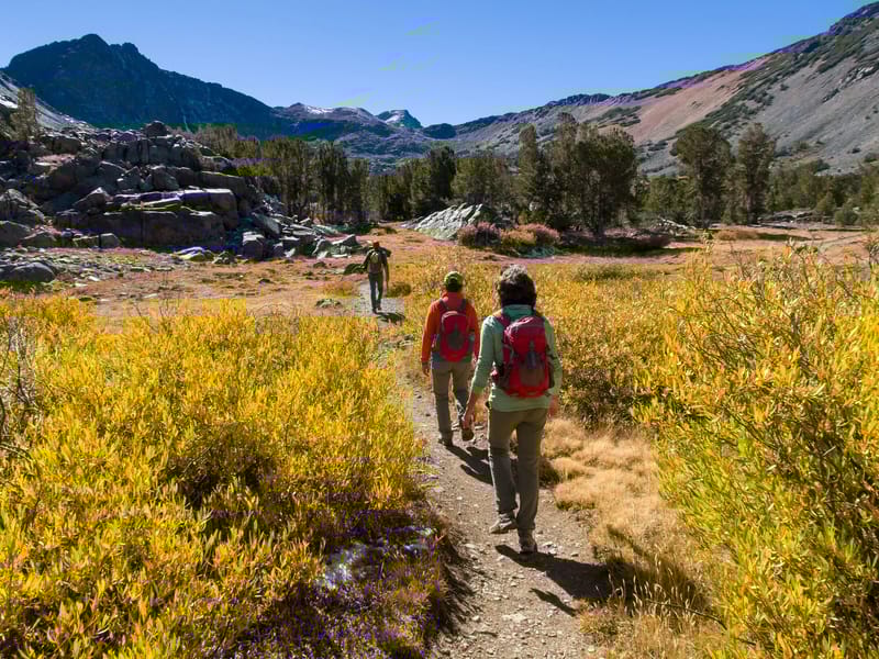 Virginia Lakes Trail