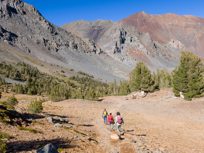 Virginia Lakes Trail
