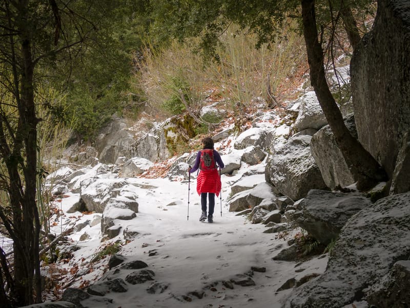 Setting off on Four Mile Trail