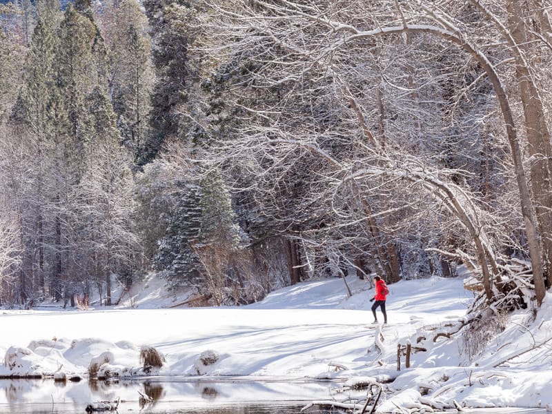 Lolo enjoying the snow