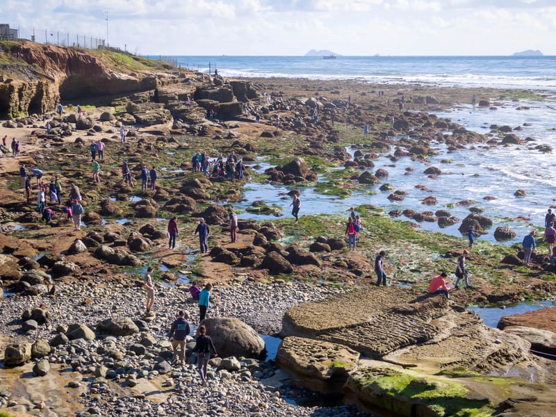 Point Loma tide pools