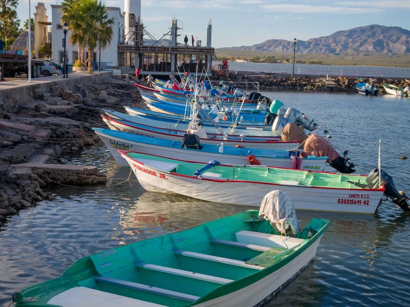 Marina along the Loreto Malecon