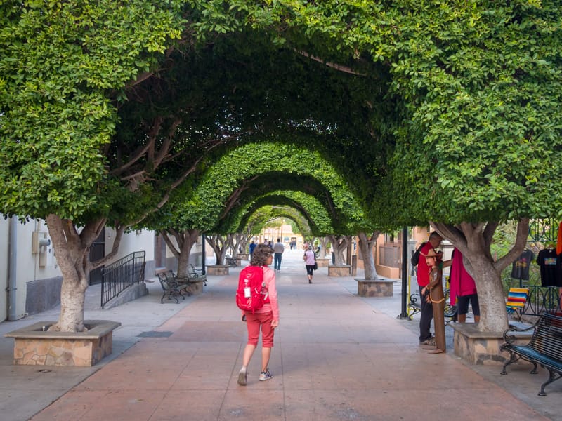 Lolo meandering along the Paseo Salvatierra