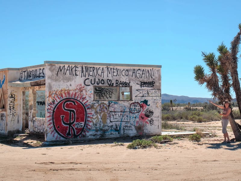 My favorite roadside graffiti