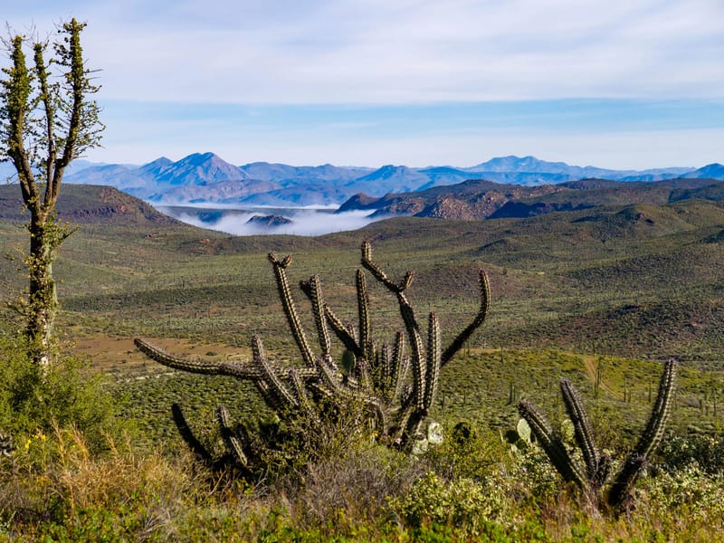 Along the road north on Mexico 1