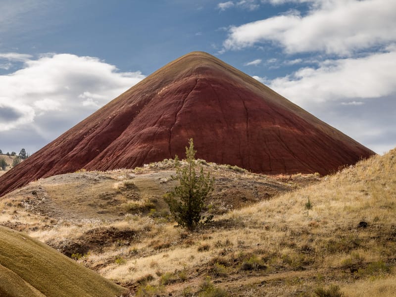 Along the Painted Cove Trail