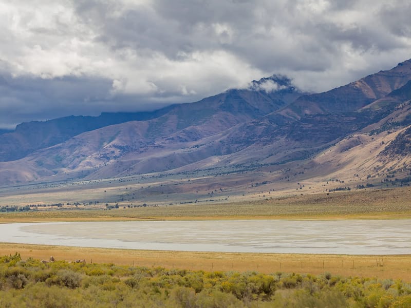 Alvord Desert Playa