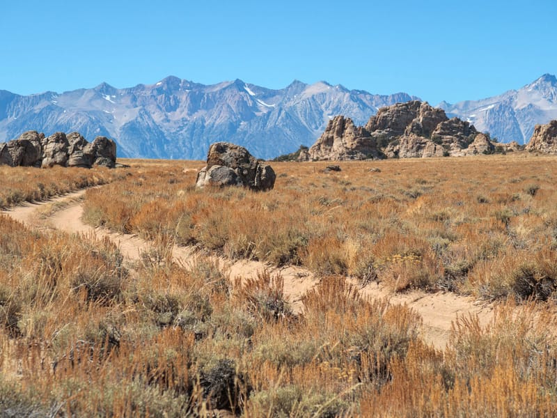 Along the Papoose Flat 4WD Road