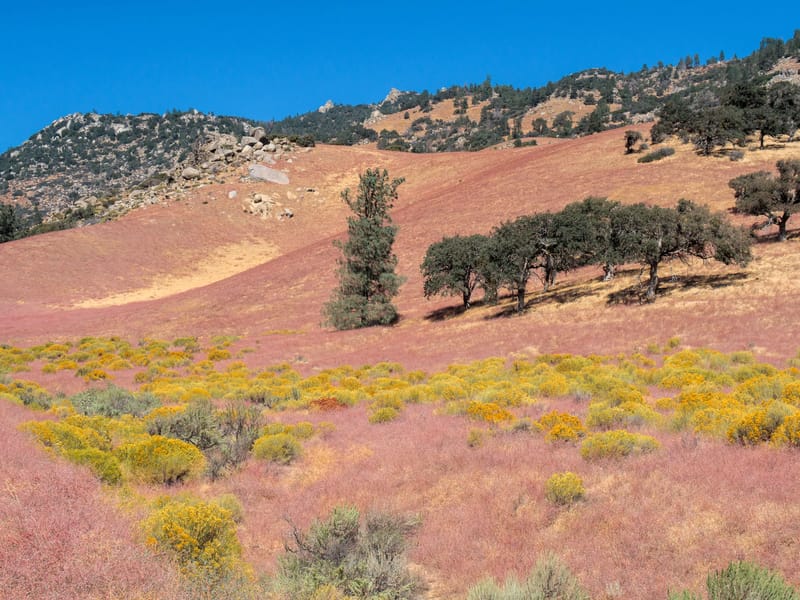 The lovely colors along Jawbone Canyon Road