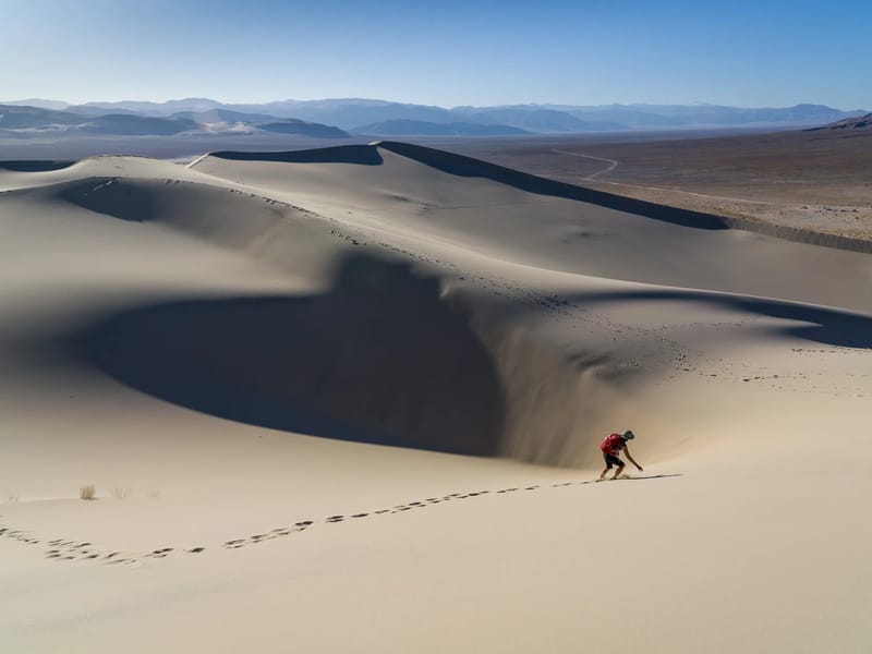 Lolo avoiding a black hole on Eureka Dunes