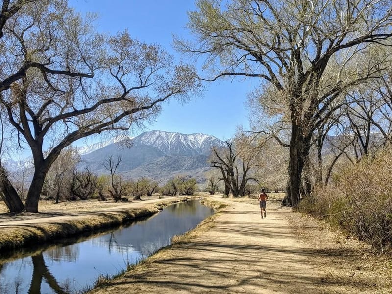 Herb running along the Bishop Creek Canal