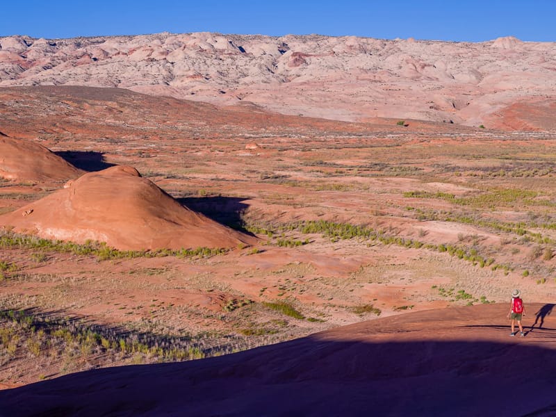Gazing out at the Waterpocket Fold from the ridge above our campsite