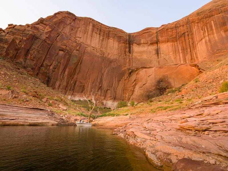 Our campsite in Chuckwalla Springs Cove