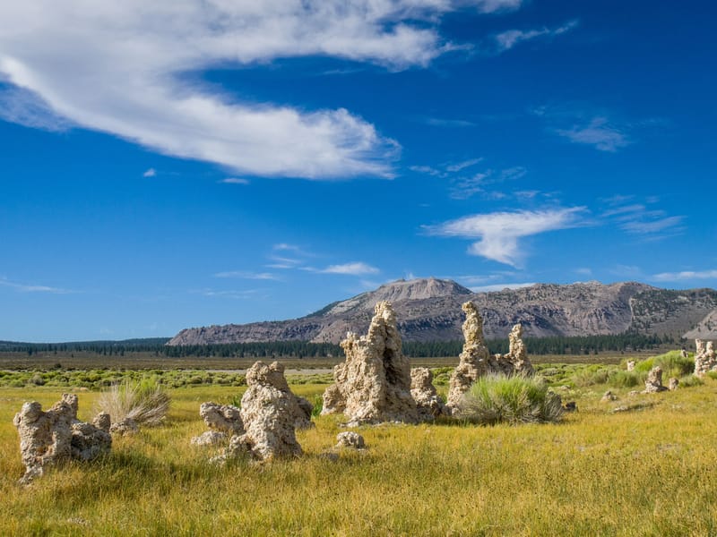 Land tufas wondering where the lake went