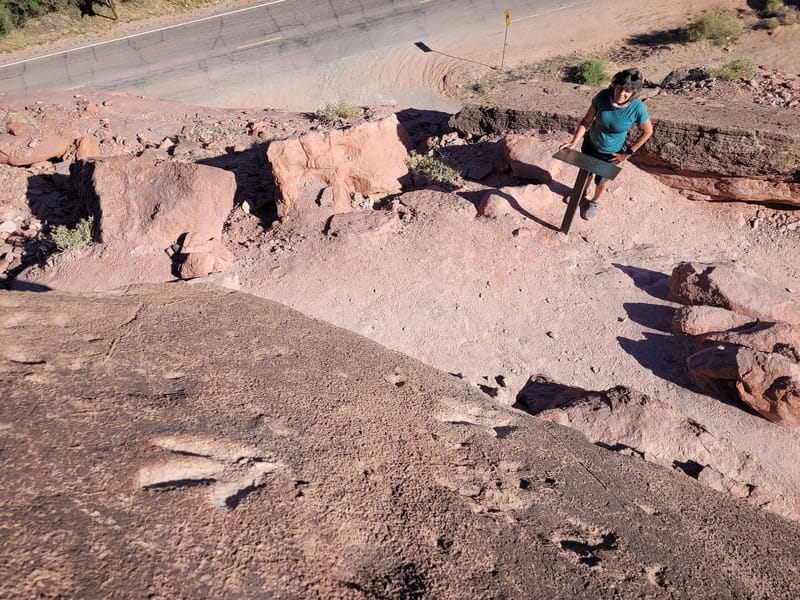 Poison Spider Mesa Dinosaur Tracks