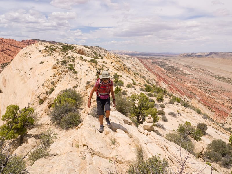 Along the ridge of the Waterpocket Fold