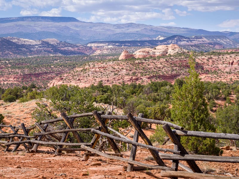 Along the Burr Trail