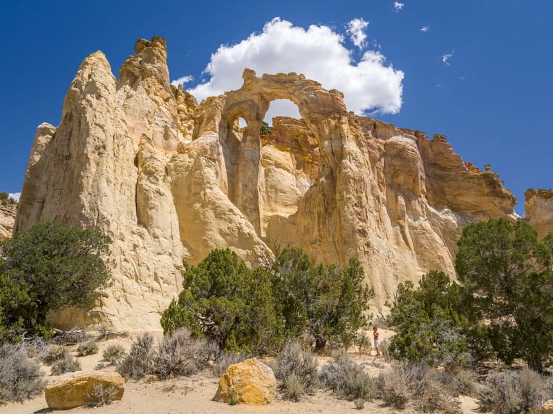 Grosvenor Arch along the Cottonwood Canyon Road