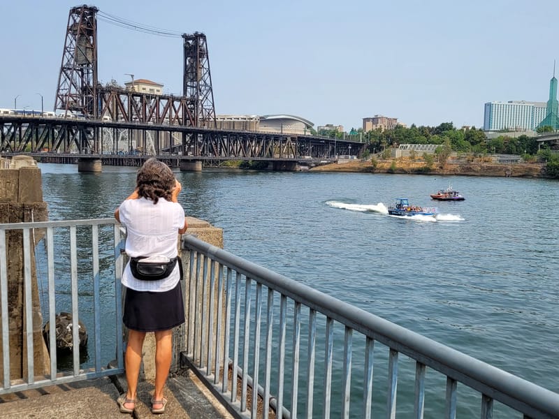 Portland's Steel Bridge