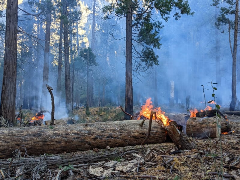 The real source of our misty conditions