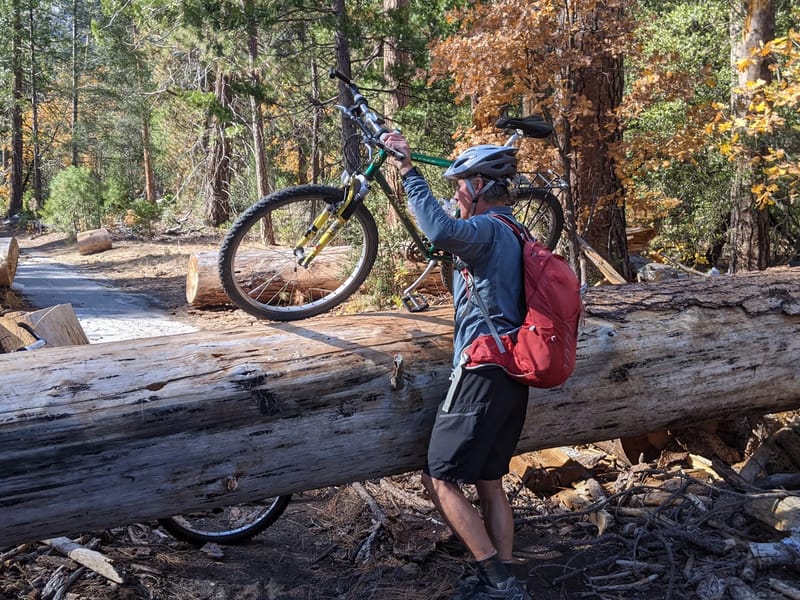 Another log to deal with