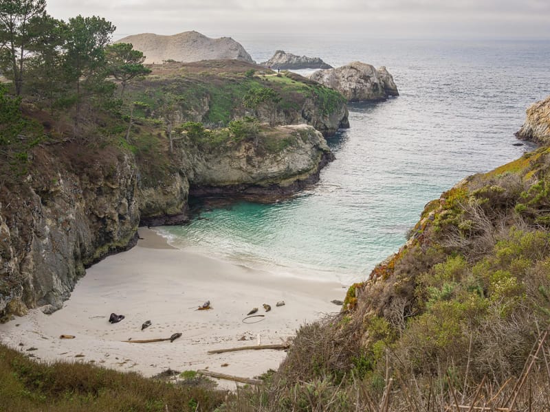 China Cove - Point Lobos Perimeter Trail