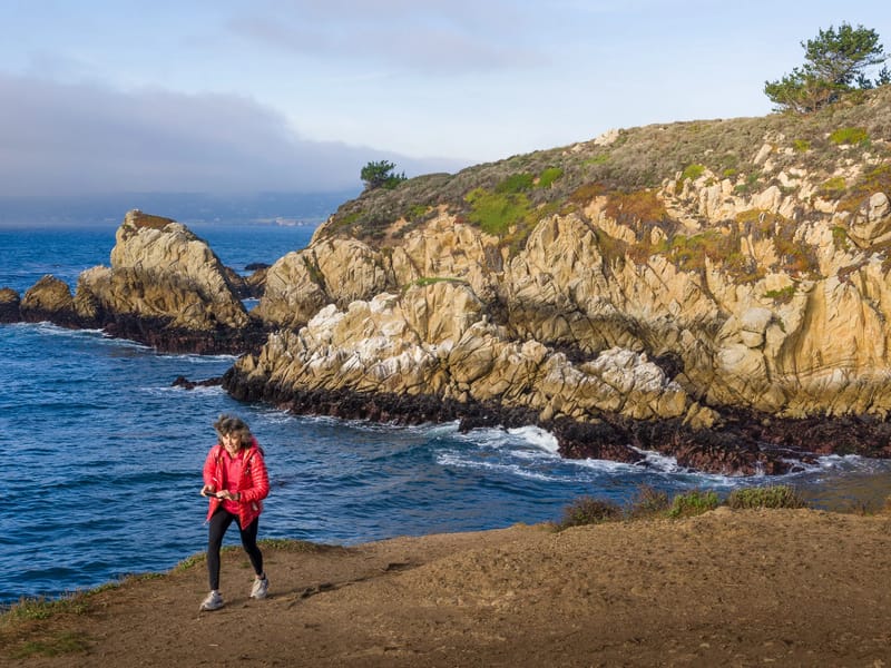 Along the Point Lobos Perimeter Trail