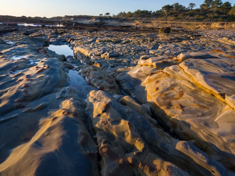 Weston Beach - Point Lobos