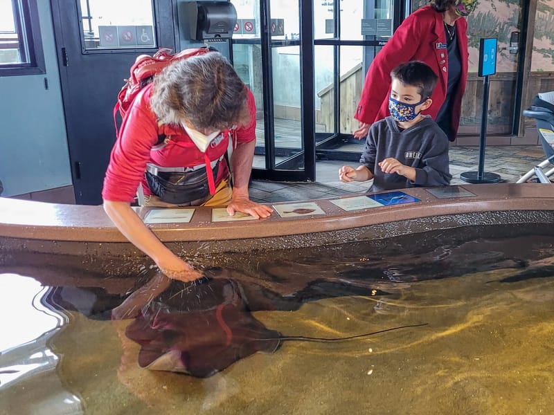 Lolo playing with the Bat Rays