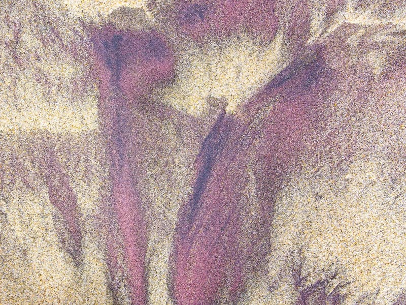 Images in the purple sand - Pfeiffer Beach