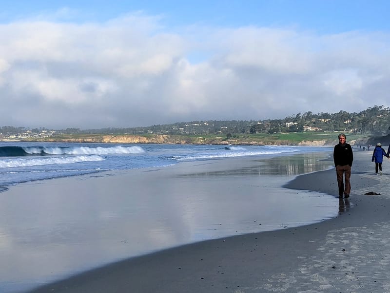 Herb strolling along Carmel Beach