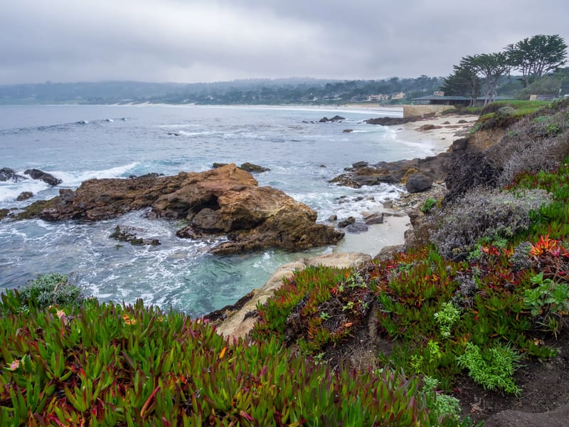 Along Carmel's Scenic Bluff Path