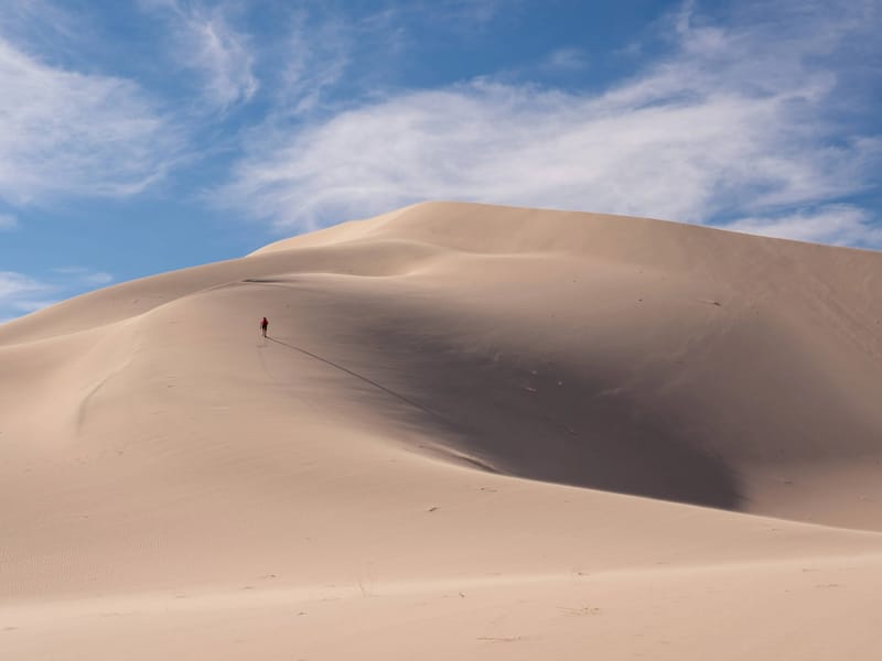 Lolo heading up the steep ridge of the Panamint Sand Dunes