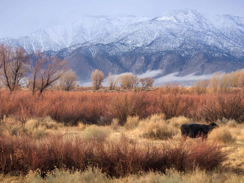 Not a bad neighborhood