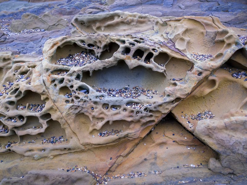 Tafoni on Pebble Beach