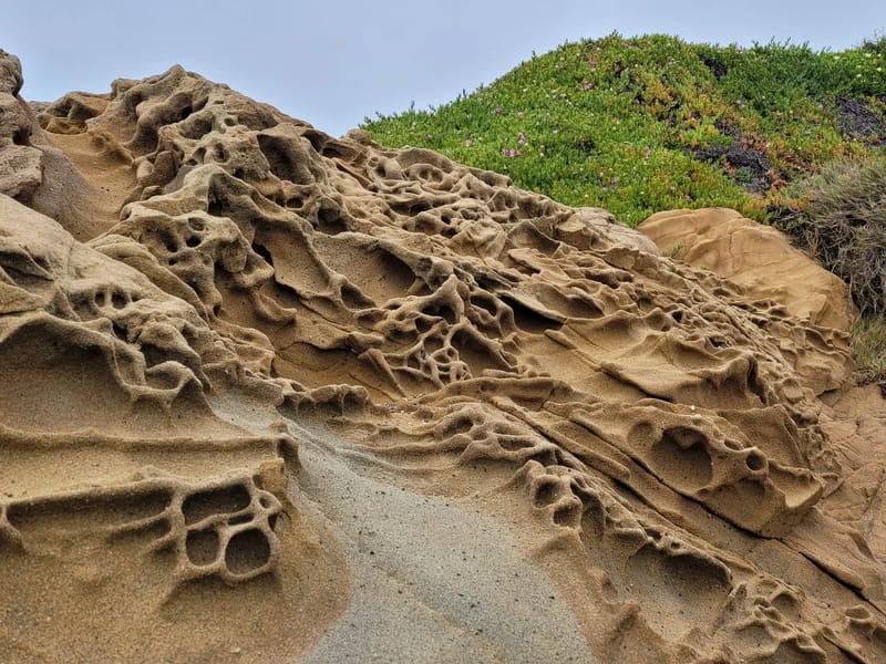 Tafoni on Pebble Beach