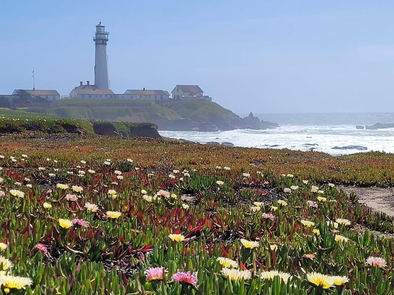 Pigeon Point Lighthouse