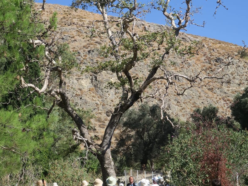 Zeus and Europa's love nest