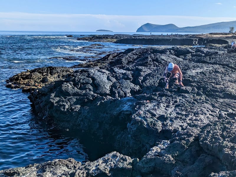 Rocky volcanic shoreline