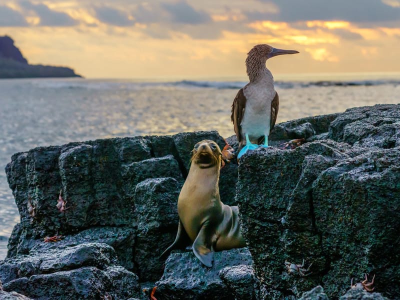 Mirador de la Baronesa