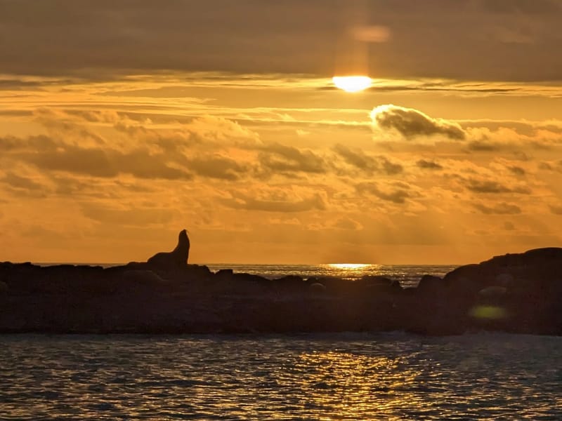 End of another incredible day