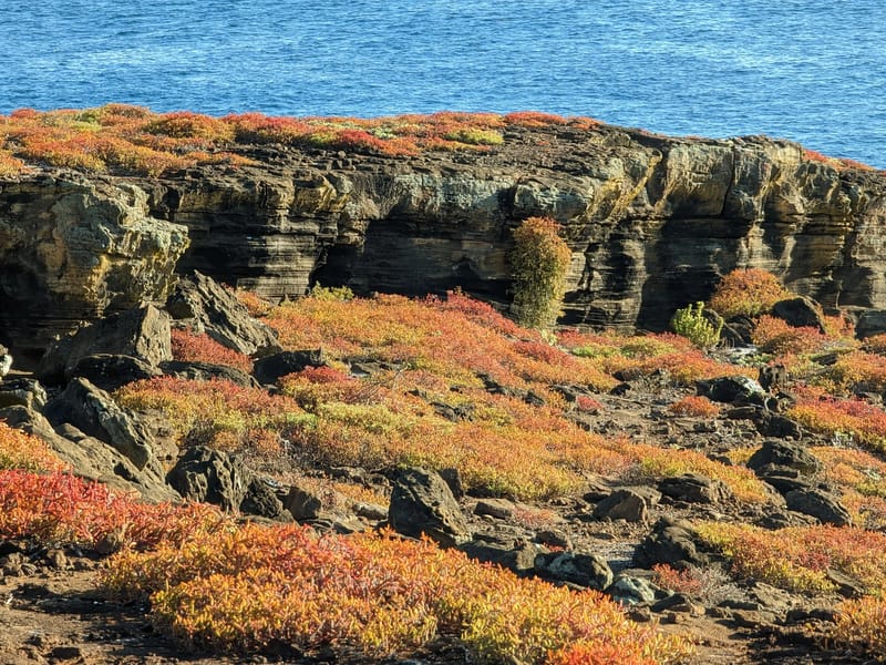 View from top of Punta Pitt