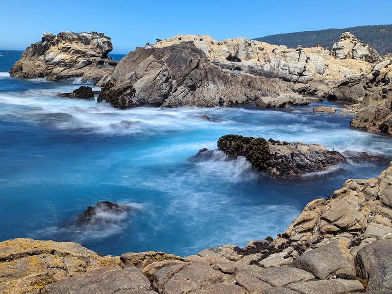 Salt Point State Park