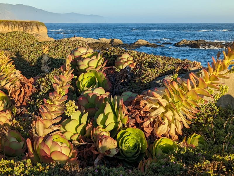 View from Black Sands Inn